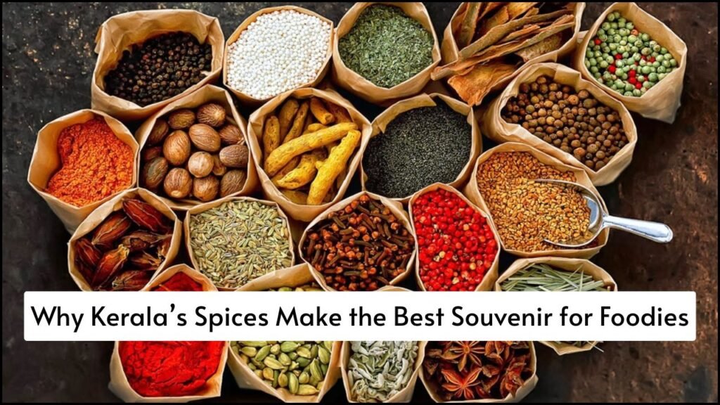 Why Kerala’s Spices Make the Best Souvenir for Foodies